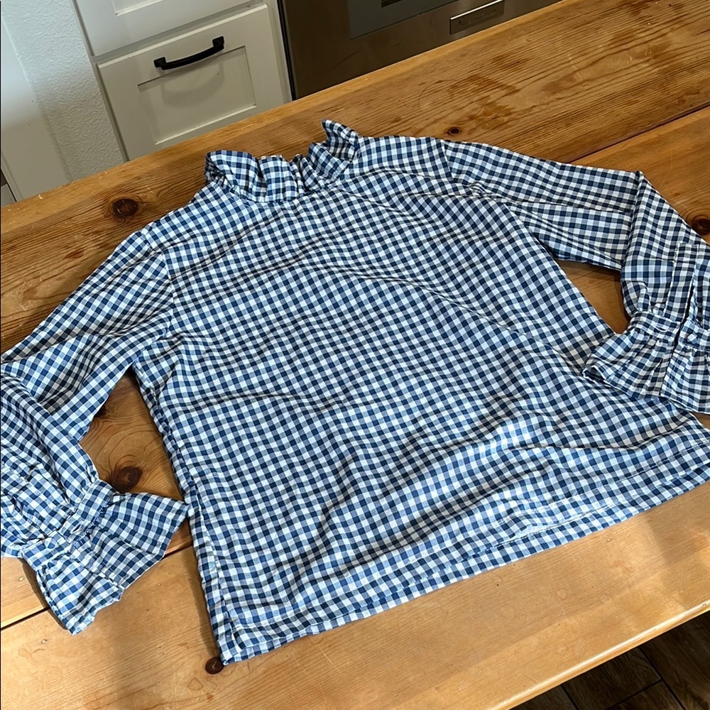 Elizabeth Wilson Blue and White Gingham Checkered Shirt